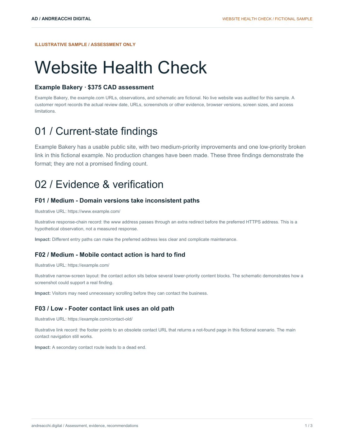 First page of an Andreacchi Digital sample Website Health Check report